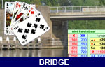 Bridgen