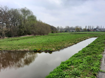 Bekijk de grote afbeelding