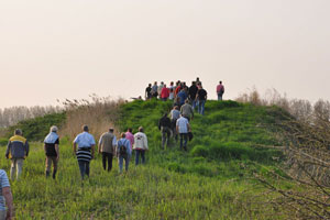 Bekijk de grote afbeelding