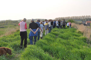 Bekijk de grote afbeelding