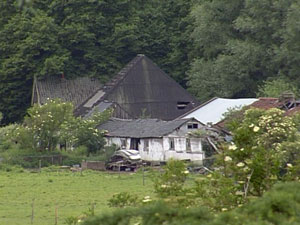 Bekijk de grote afbeelding