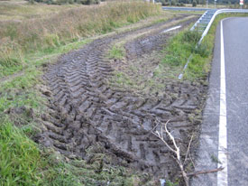 Bekijk de grote afbeelding