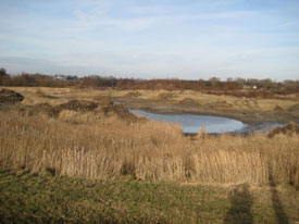 Bekijk de grote afbeelding