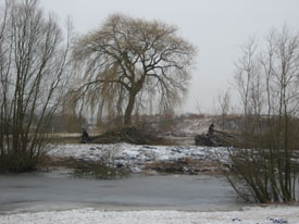 Bekijk de grote afbeelding