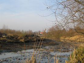 Bekijk de grote afbeelding