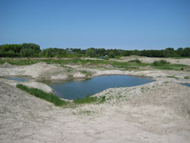 Bekijk de grote afbeelding